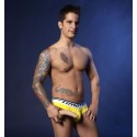 PIERRE FITCH DICK