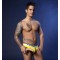 PIERRE FITCH DICK